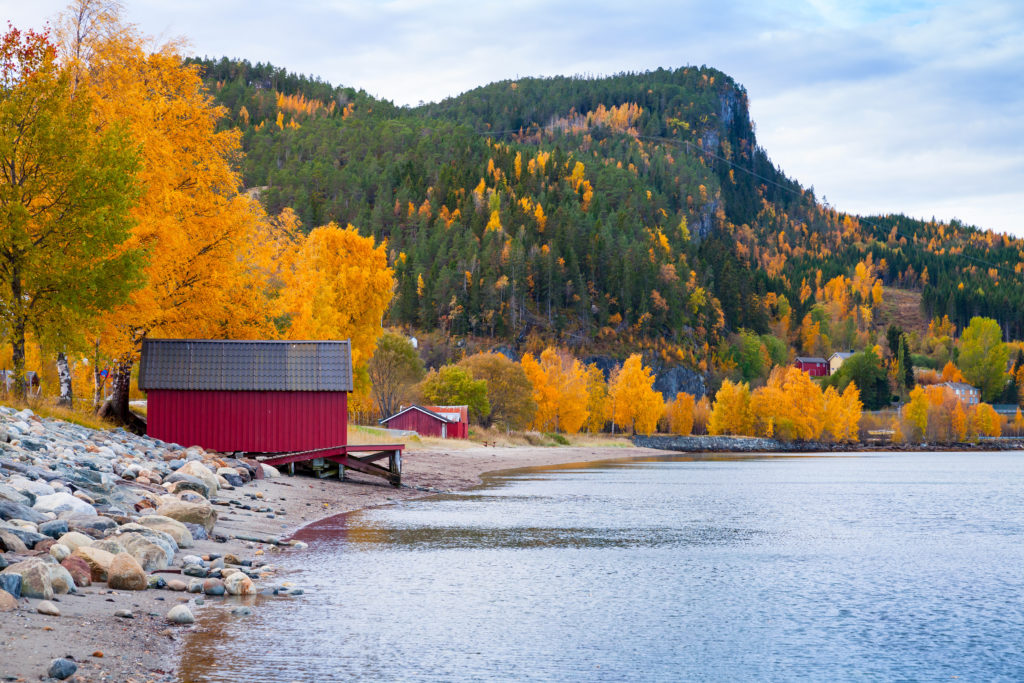Norwegian Sea coast, autumn landscape with traditional red wooden barns for fishing boats storage. Trondheim region