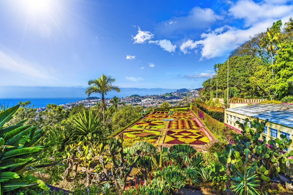 Madeira Insel des ewigen Frühlings